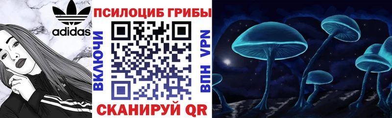 Галлюциногенные грибы мухоморы Суздаль